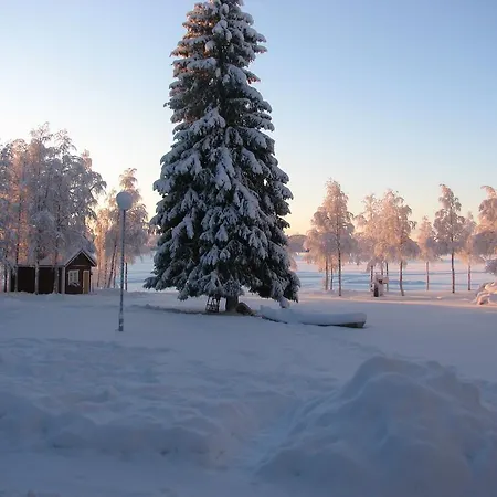 Uitonpuisto *