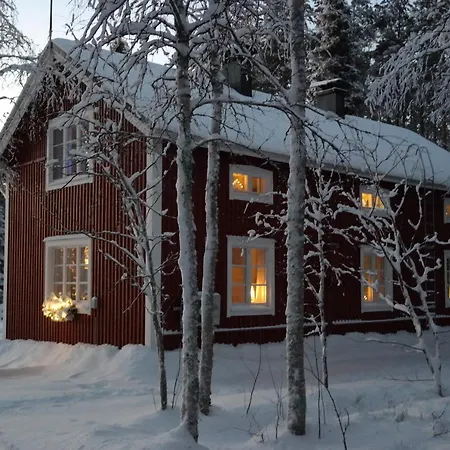 Uitonpuisto * Portimo