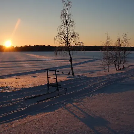 Uitonpuisto * Portimo